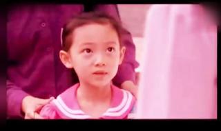 天涯赤子心粤语 天涯赤子心粤语