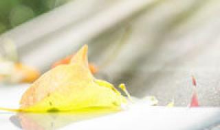 陈奕迅的所有歌曲名字 陈奕迅经典歌词网名