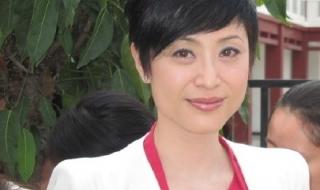 陈法蓉演过的电视剧