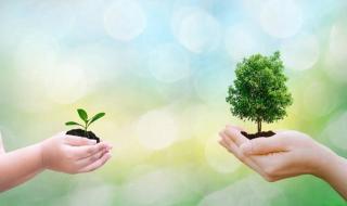 习惯了一个人生活的心情说说 习惯一个人的生活