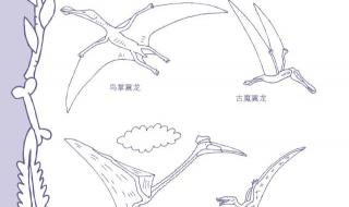 北京天安简笔画着色