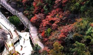 十堰市周边好玩的景点 十堰旅游景点大全