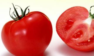 西红柿是谁发现的 西红柿是谁
