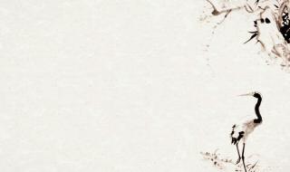 枕上最好的十首诗 李清照最好的十首诗