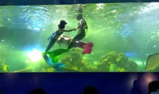 重庆欢乐海底世界门票是多少 重庆欢乐海底世界