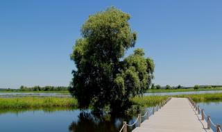 沈阳七星里是什么 沈阳七星国际影城影讯