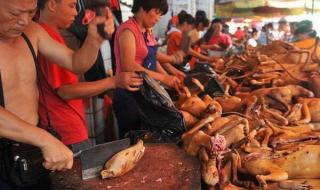 广西玉林狗肉节图片