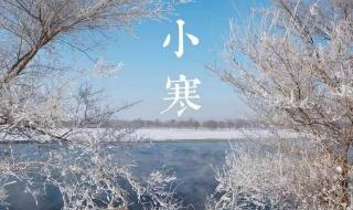 二九什么节日 二九天是什么意思?