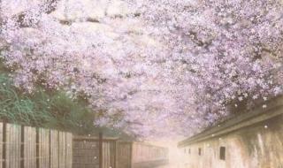 愿你三冬暖,愿你春不寒,愿此生遇良人,不负如来不负卿什么意思 愿你三冬暖歌曲原唱