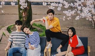 你是我的眼是哪个电视剧中的插曲 你是我的眼睛主题曲