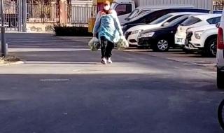 天津快递停运了吗