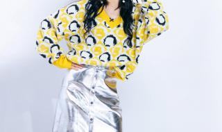 谢娜任央视主持人