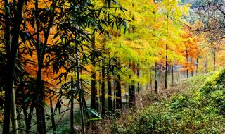 水色山光对仗词 水色山光皆画本