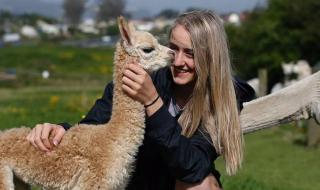 一生只爱你一次歌曲