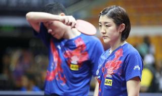 王楚钦陈梦谈恋爱